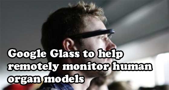 Google Glass to help remotely monitor human organ models