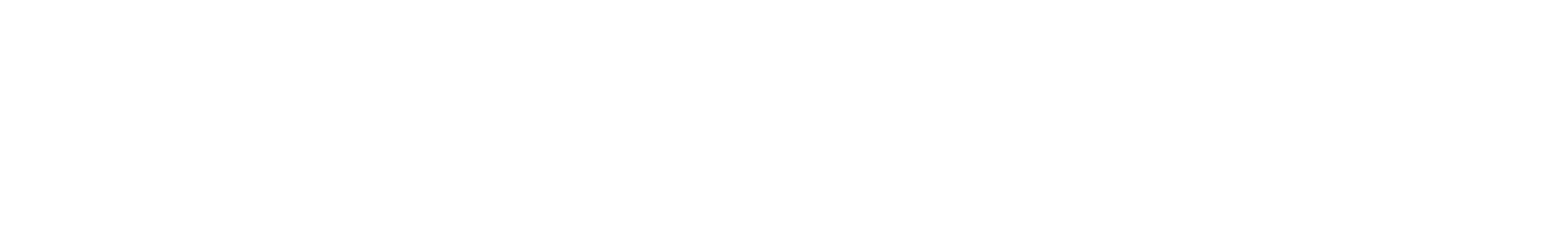 the silicon review logo
