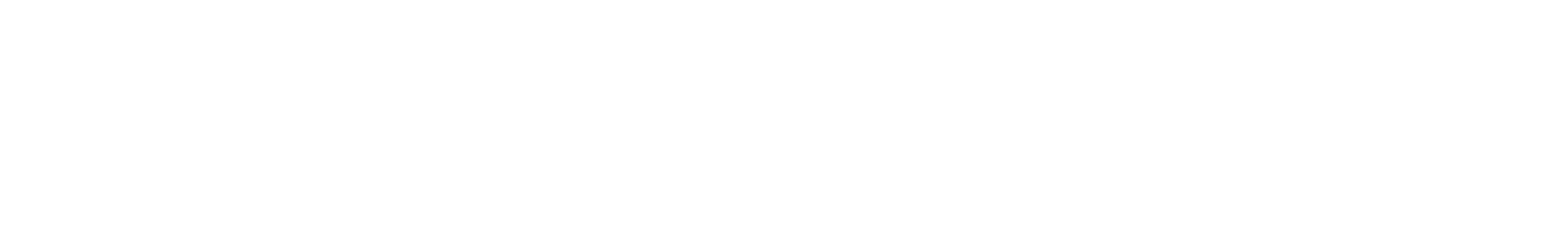 the silicon review logo