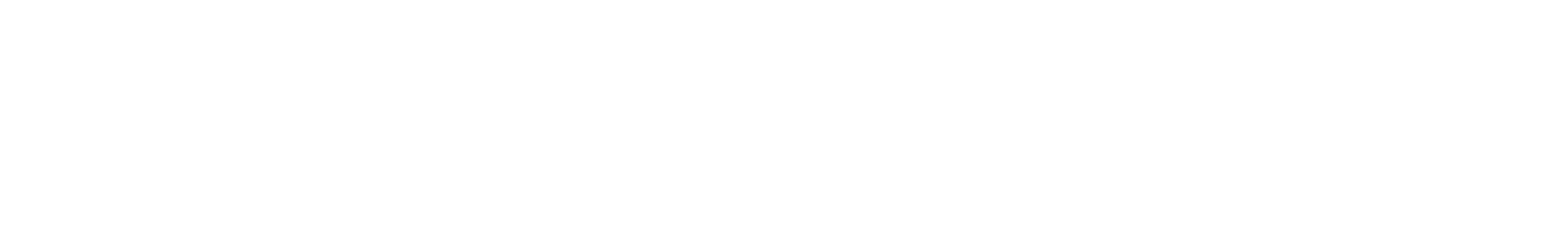 the silicon review logo