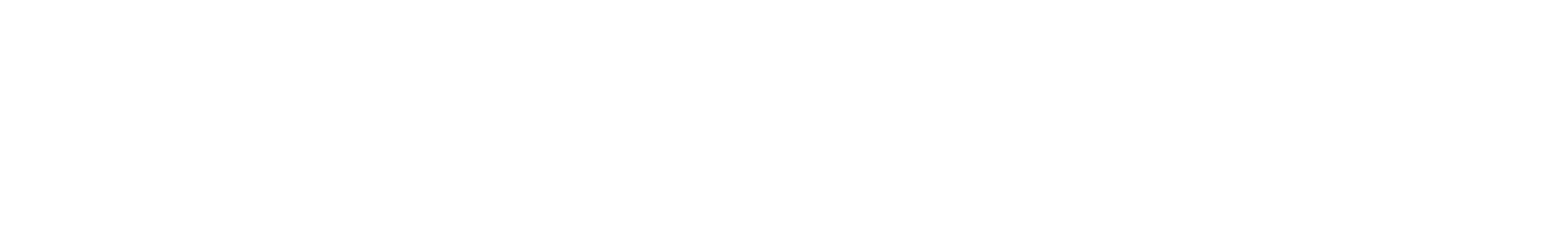 the silicon review logo