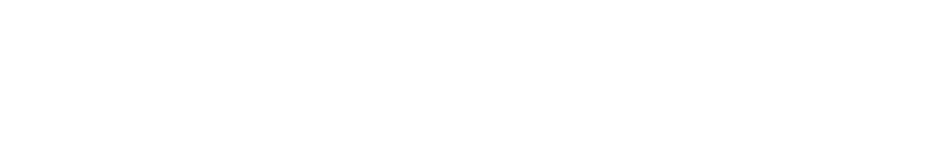 the silicon review logo