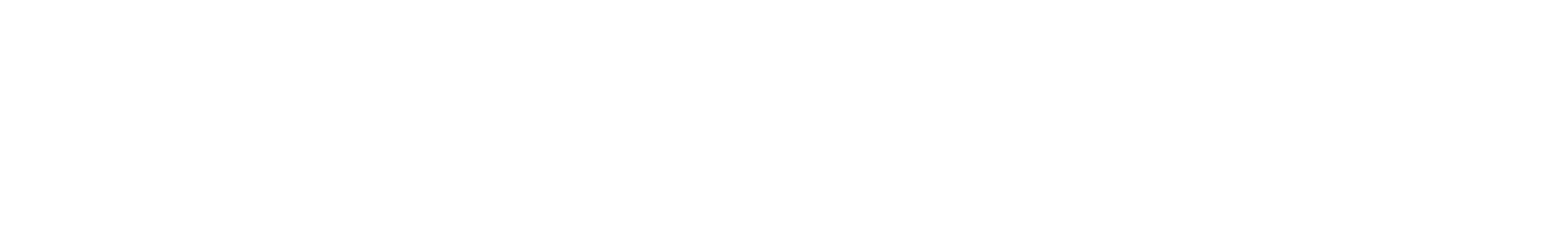 the silicon review logo