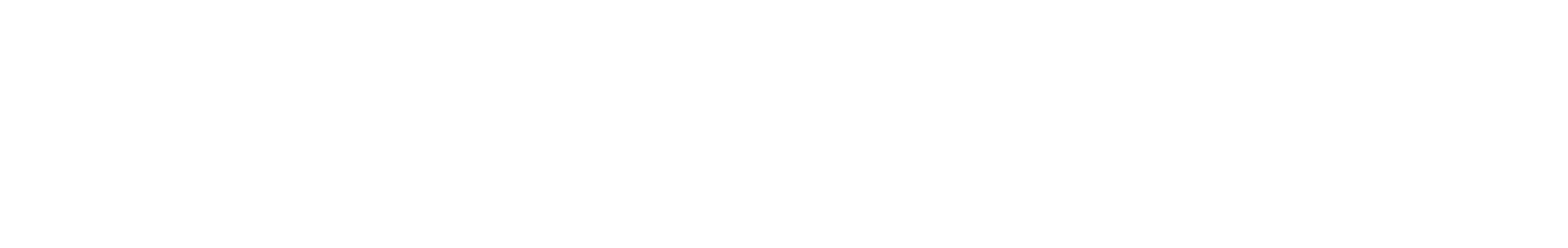 the silicon review logo