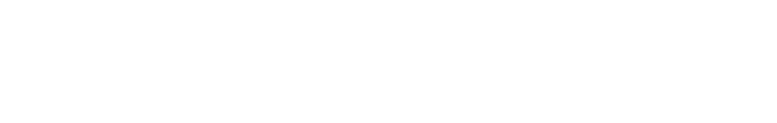 the silicon review logo