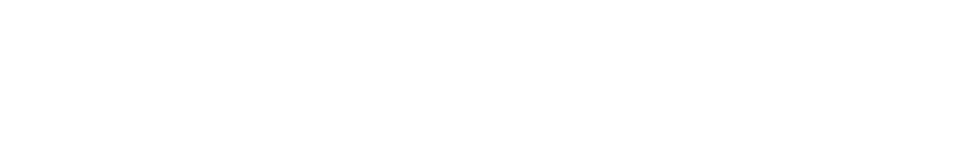 the silicon review logo