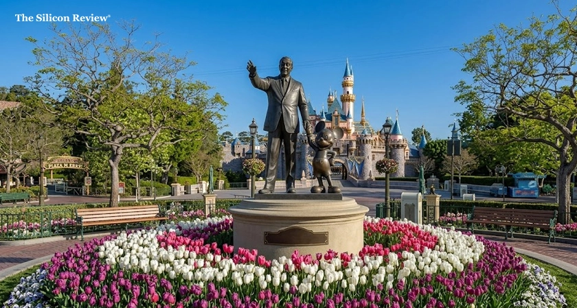 Walt Disney World Landscaping Maintenance Behind Magic