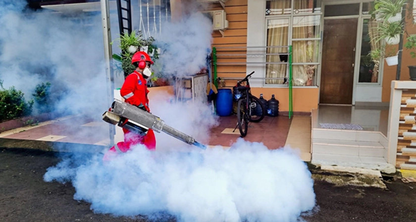 How Seasonal Changes Influence Common Pest Activity Around Homes