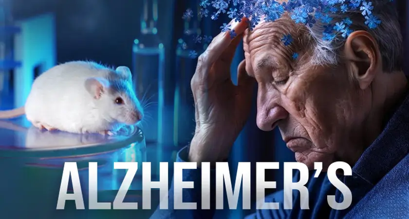 The Silicon Review - Lithium Deficit May Fuel Alzheimer’s, New Mouse Study Shows