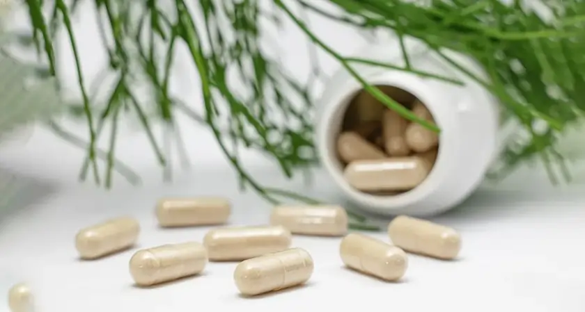 Breakthrough Ingredients Transforming Supplement Choices