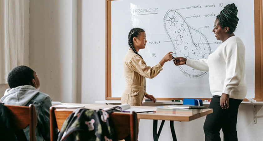 Understanding BMP Signaling Pathways in Cellular Development