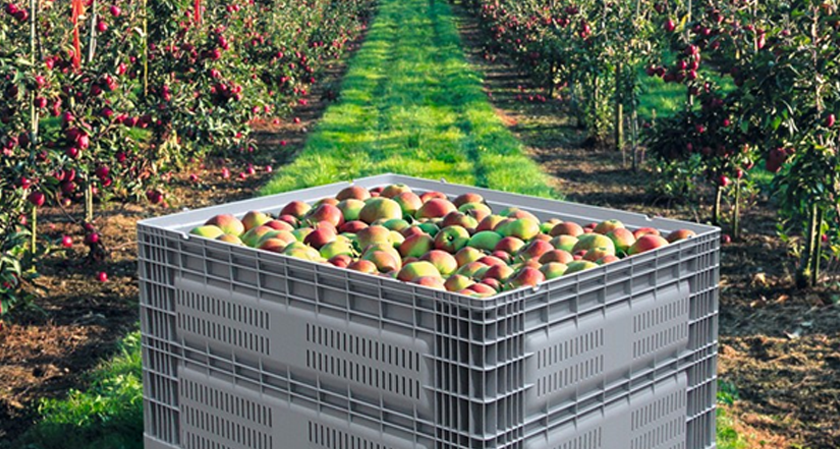 How Reusable Containers Support Stable Supply Chains During Market Fluctuations