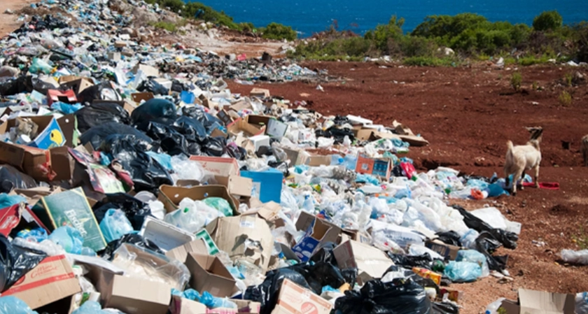 Waste Management Challenges on Commercial Properties