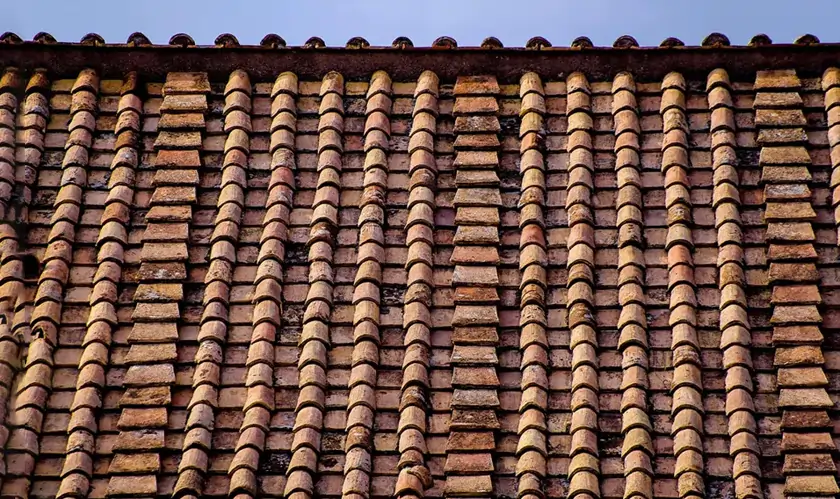 Roofing Upgrades That Reduce Costs And Ensure Long-Term Durability