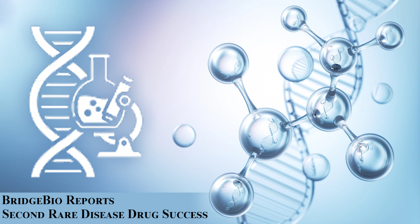BridgeBio Reports Second Rare Disease Drug Success