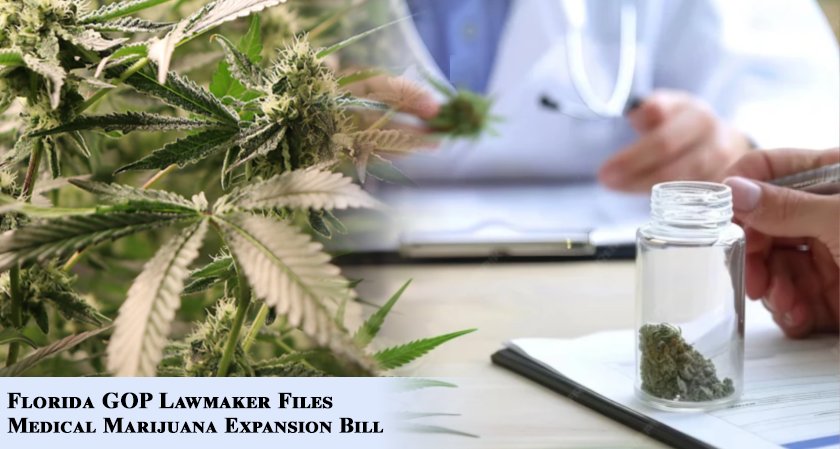 Florida GOP Lawmaker Files Medical Marijuana Expansion Bill