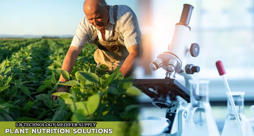 LB Technology Supplies Plants to Spain's Medifer