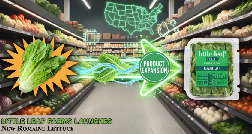 Little Leaf Farms Launches New Romaine Lettuce