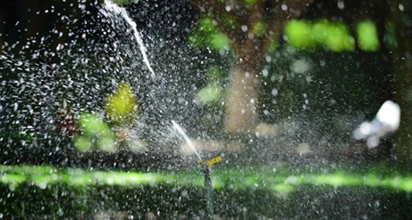 Smart Irrigation Upgrades That Protect Property Value