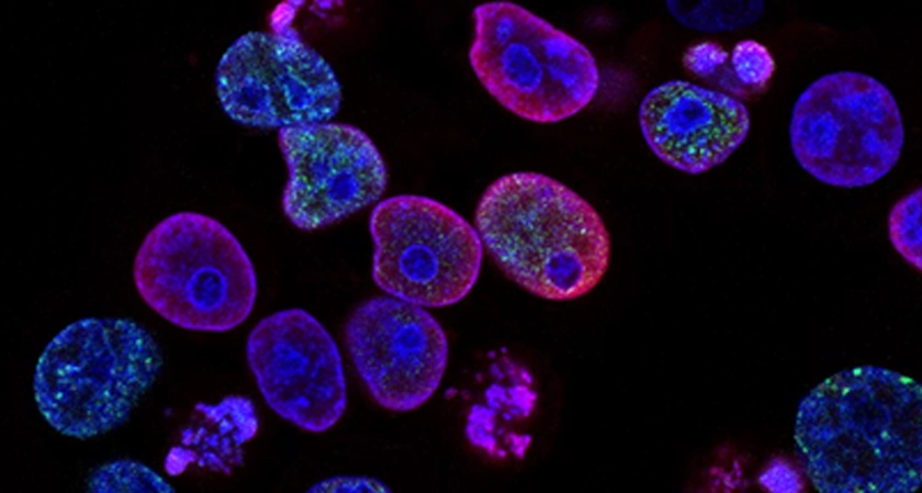 Why Biotech Transparency Matters in Peptide Research