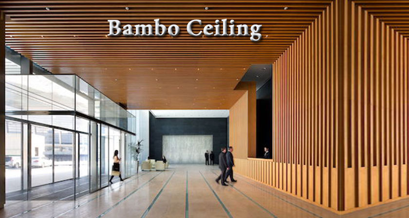 “Bamboo ceiling” causes the Chinese “Exodus”