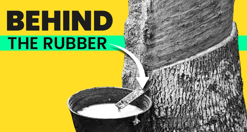 Behind the Rubber