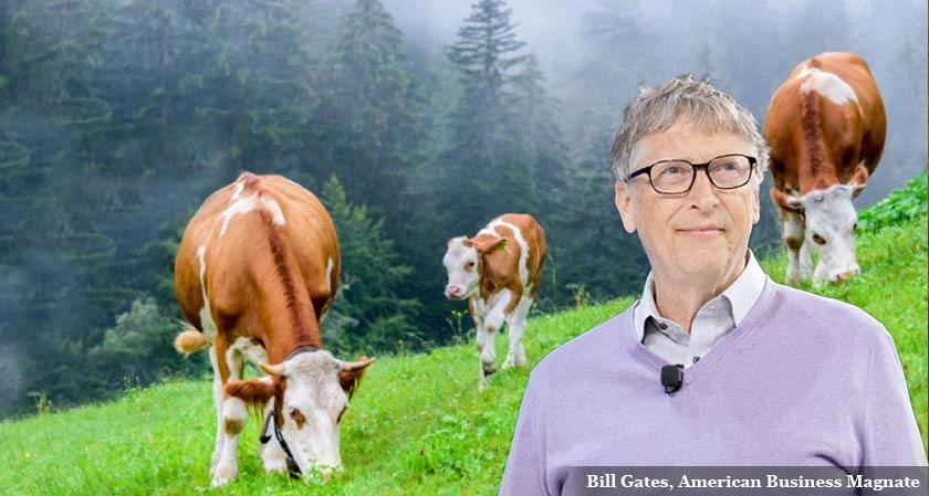 Bill Gates supports Australian startup