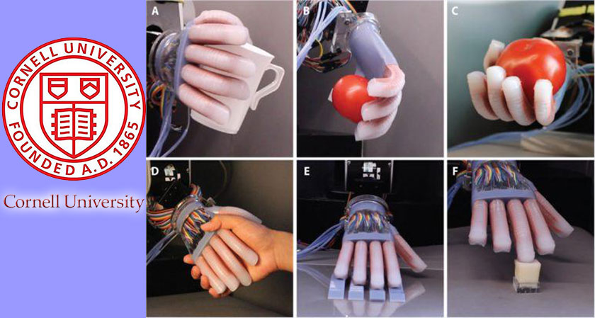 Cornell University researchers produce 3D printed prosthetic limbs