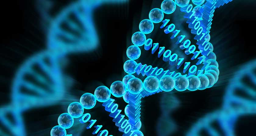 Could DNA be the cheaper and high-capacity version of data storage?