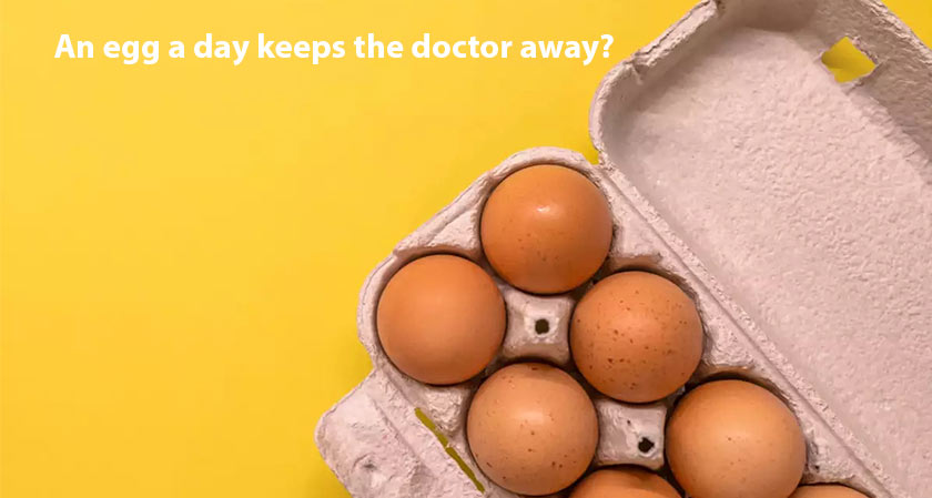 An egg a day keeps the doctor away?