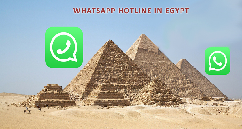 Egyptian Government Establishes A Dedicated Hotline For Whatsapp To Report Fake News