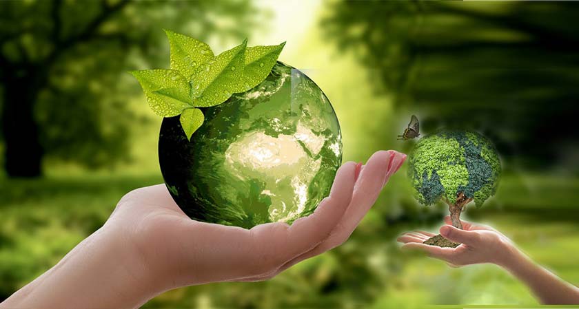 Exceptional environmental sustainability trends that will reshape the future