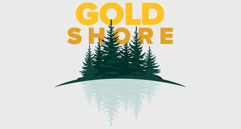 Goldshore Resources Intersects Widespread Gold Mineralization in First Holes of 100,000 Meter Drill Program at Moss Lake, Ontario