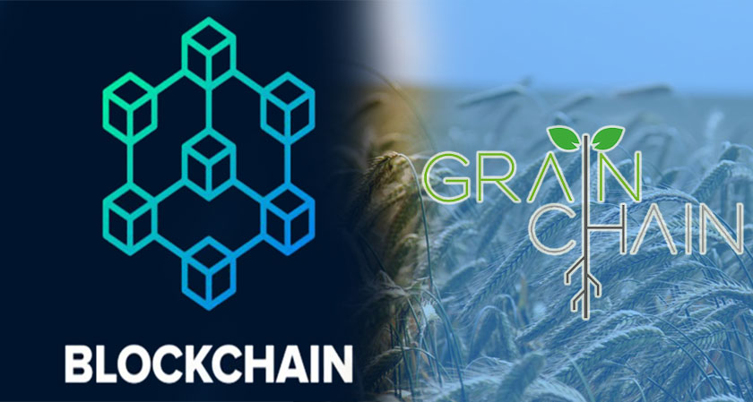Grainchain Expands its Operations to Mexico