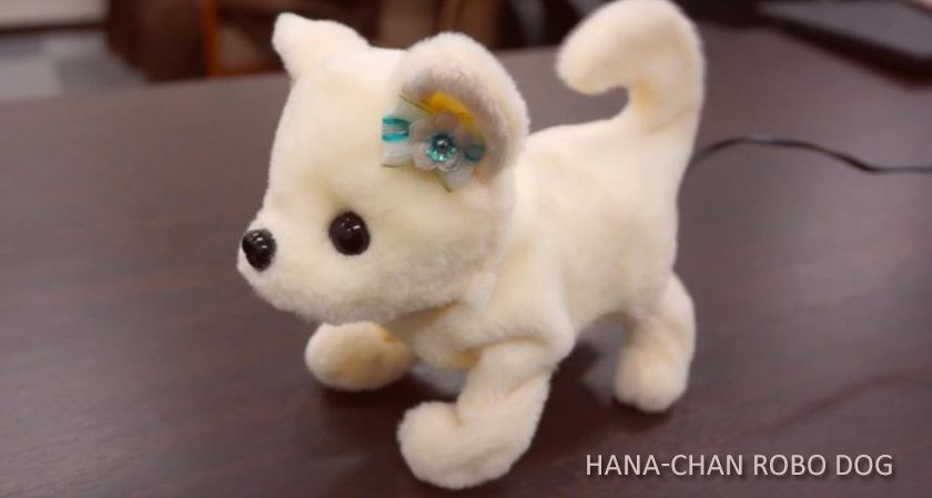 Hana-chan, the adorable Japanese robot dog sniffs your feet and faints if they are smelly!