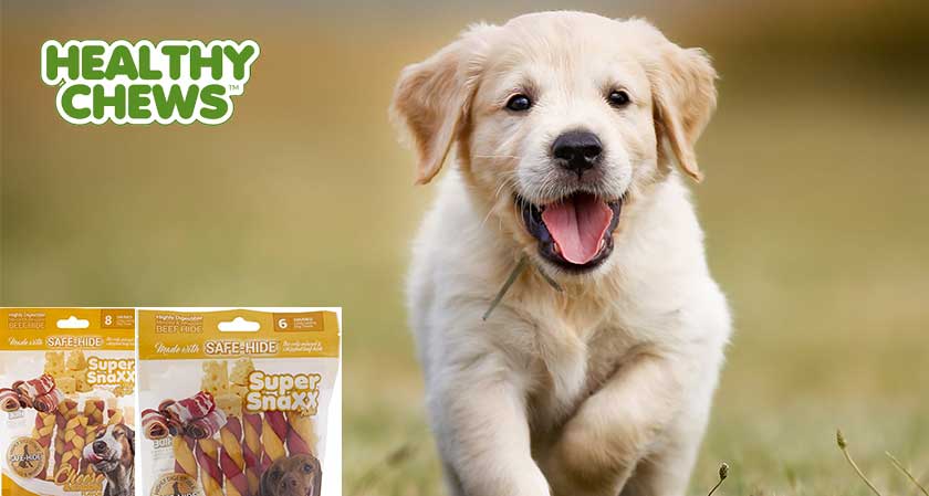 Healthy Chews–Manufacturing easily digestible rawhide food for dogs, keeping dog’s health as number one priority