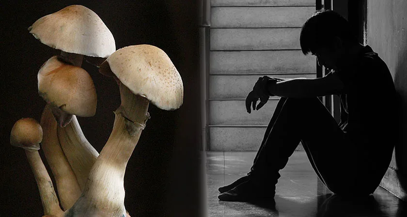Magic Mushrooms could be the answer to treating depression