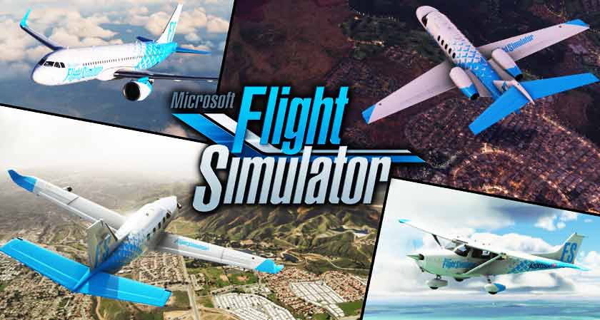 Microsoft Flight Simulator video game series to add-on an F-15 Eagle fighter jet