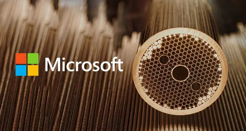 Microsoft developer