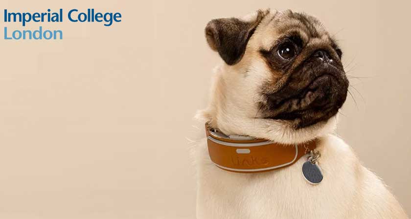 Researchers invent First-of-its-Kind health tracking device for pets to monitor vital signs through the fur