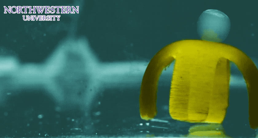 Researchers from Northwestern University create tiny water-based robot