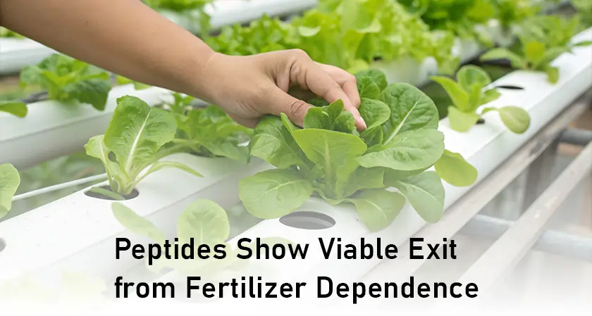 Bio-Driven Breakthrough: Peptides Show Viable Exit from Fertilizer Dependence