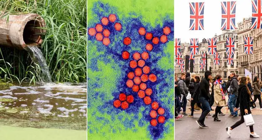 Rising Concern: Poliovirus found in London wastewater