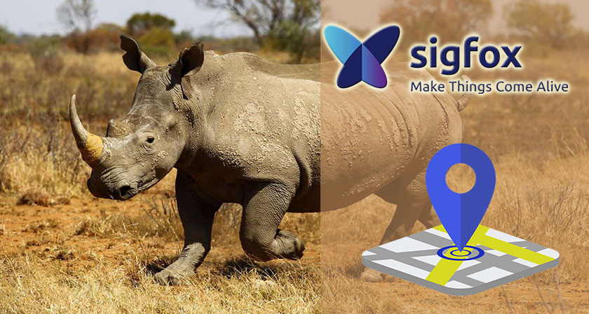 This New Tracker Can Protect Rhinos against Poaching