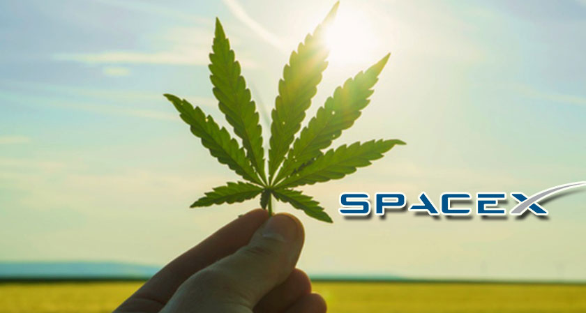 SpaceX flight to carry Marijuana and Coffee cultures to the International Space Station