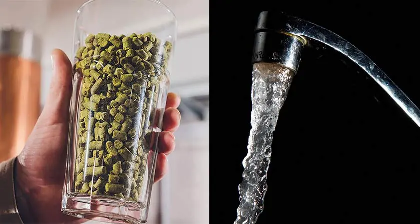 Used beer yeast can remove lead in water