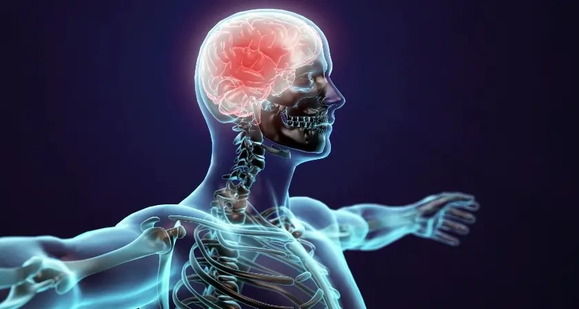 Protect Nerve Health Naturally as You Age