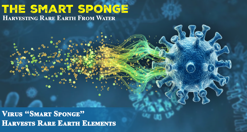 Virus "Smart Sponge" Harvests Rare Earth Elements
