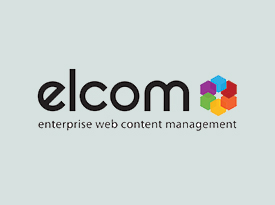 Driving Digital Transformation across Medium to Large Organizations - Elcom