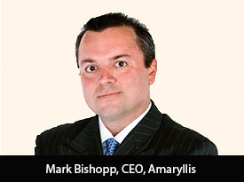 Bridging the Gap between 3rd Party Payment Providers and Traditional Financial Institutions:  Amaryllis